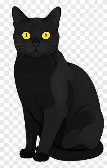 Black Cat With Yellow Eyes PNG