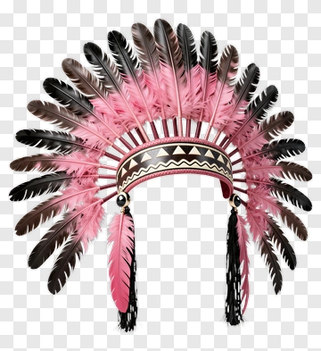 Pink And Black Feather Headdress PNG