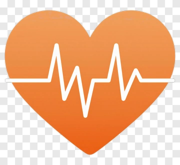 Heart With Electrocardiogram PNG