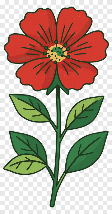 Red Flower With Green Leaves PNG