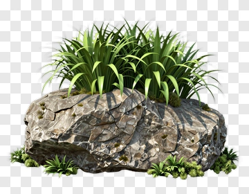 Rock With Grass PNG