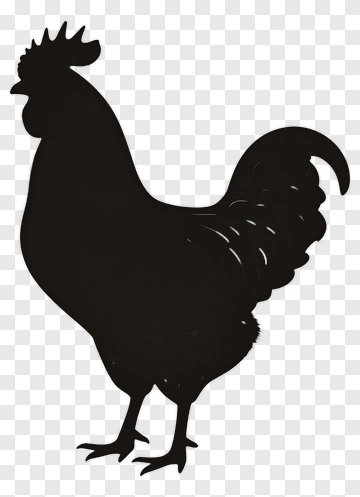 Black Rooster Silhouette PNG