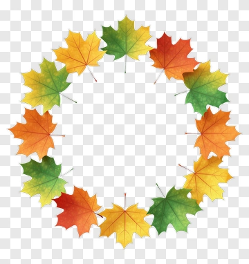 Maple Leaf Circle PNG
