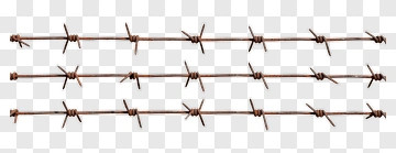 Barbed Wire PNG