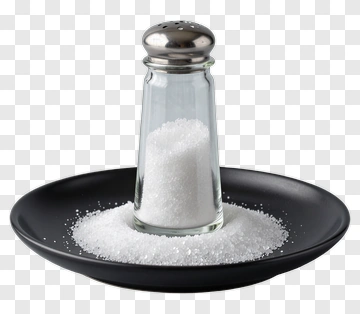 Salt Shaker On Black Plate PNG