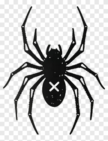 Black Spider With White X Mark PNG