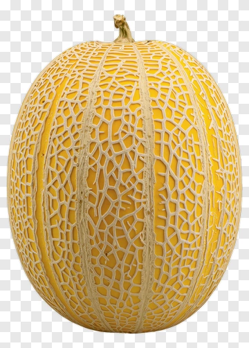 Yellow Netted Melon PNG