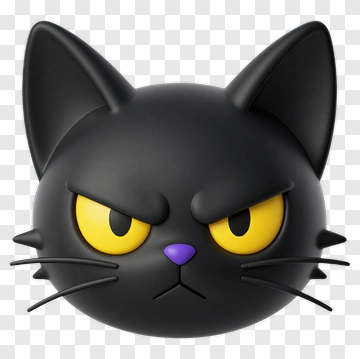 Black Cat With Angry Expression PNG