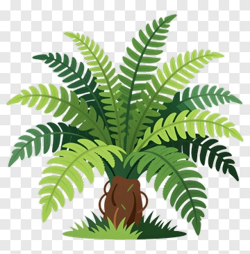 Fern Plant With Green Leaves PNG