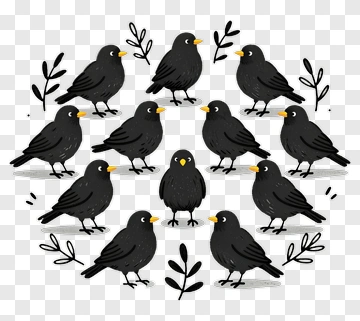 Black Birds With Yellow Beaks PNG
