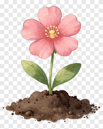 Pink Flower With Green Leaves PNG