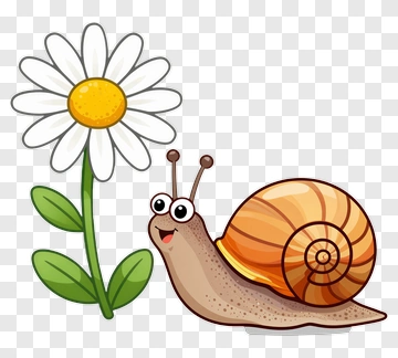 Snail And Daisy PNG