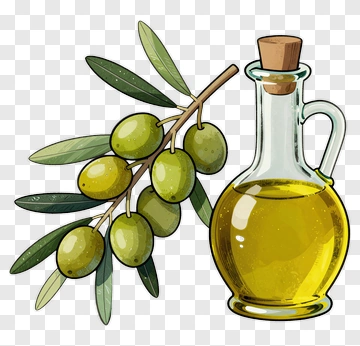 Olive Branch And Olive Oil Bottle PNG