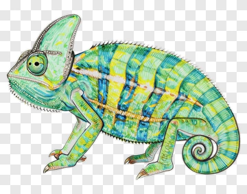 Chameleon PNG