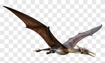 Pterosaur In Flight PNG