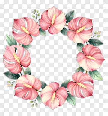 Pink Anthurium Flower Wreath PNG