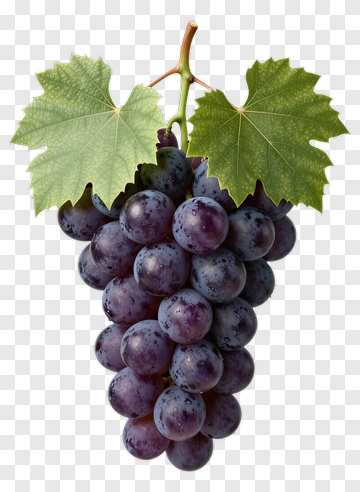 Cluster Of Purple Grapes With Vine Leaves PNG