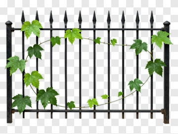 Black Metal Fence With Green Ivy PNG