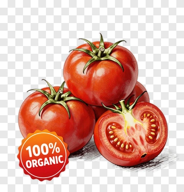 Organic Tomatoes With Fresh Seeds PNG