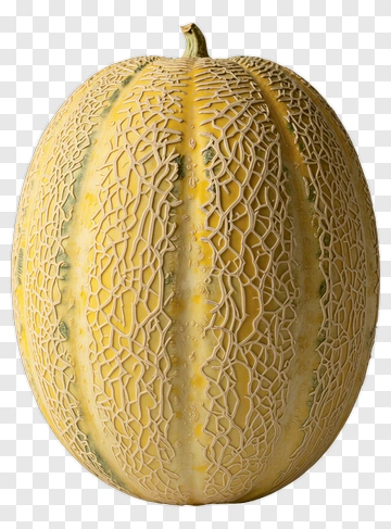 Yellow Melon With Green Stripes PNG