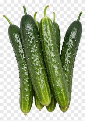 Fresh Cucumbers With Water Droplets PNG