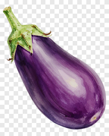 Watercolor Eggplant Illustration PNG