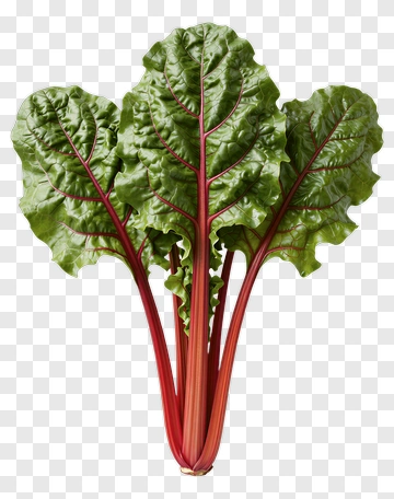 Fresh Beet Green Chard PNG