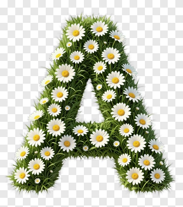 Letter A Made Of Daisies PNG