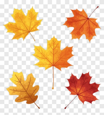 Autumn Maple Leaves Collection PNG