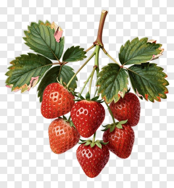 Cluster Of Strawberries With Leaves PNG