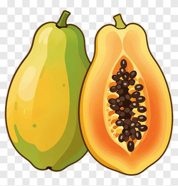 Papaya With Seeds PNG