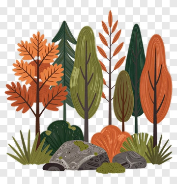 Autumn Forest With Trees And Rocks PNG