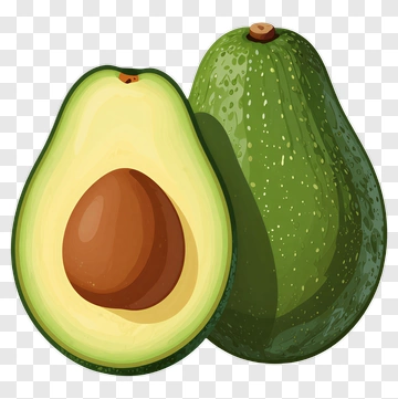 Fresh Avocado Fruit PNG
