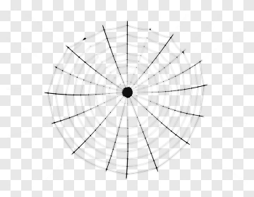 Spider Web PNG