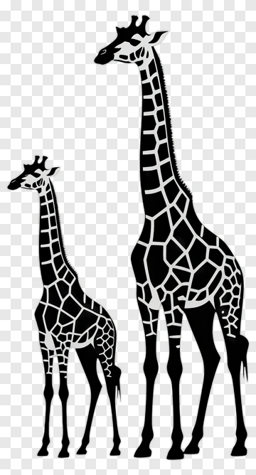 Adult And Baby Giraffe Silhouettes PNG