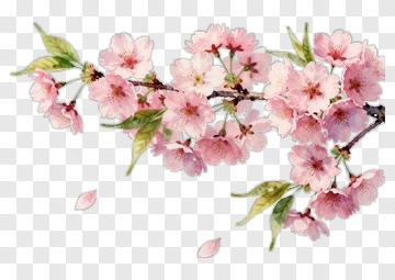 Cherry Blossom Branch With Falling Petals PNG