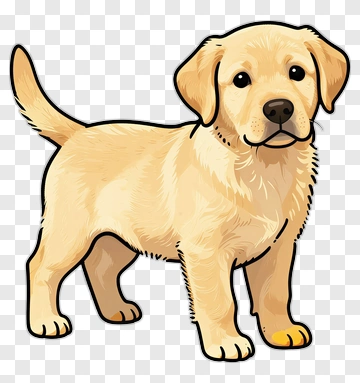 Golden Retriever Puppy PNG