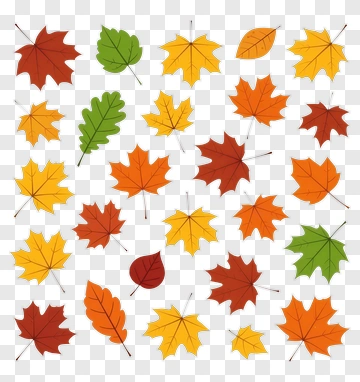 Autumn Leaves Collection PNG