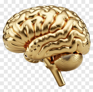 Golden Brain PNG