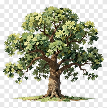 Cartoon Style Tree With Green Leaves PNG