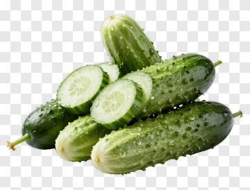 Fresh Cucumber Slices And Whole PNG