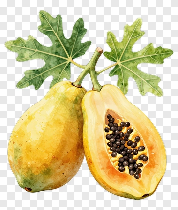 Fresh Papaya With Leaves And Seeds PNG