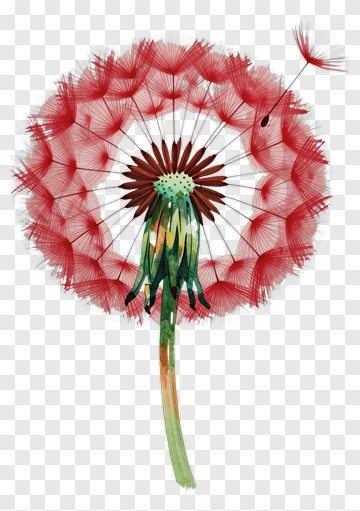 Red Dandelion PNG