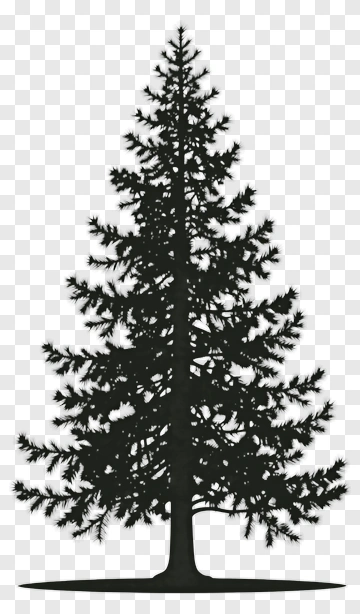 Pine Tree Silhouette PNG