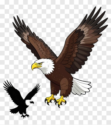 Eagle And Crow PNG