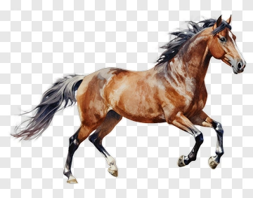 Running Horse PNG