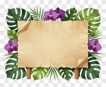 Torn Paper With Tropical Plants PNG