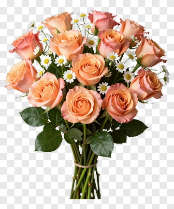 Pink Roses With Daisies PNG
