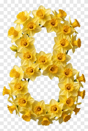 Yellow Daffodil Number Eight PNG