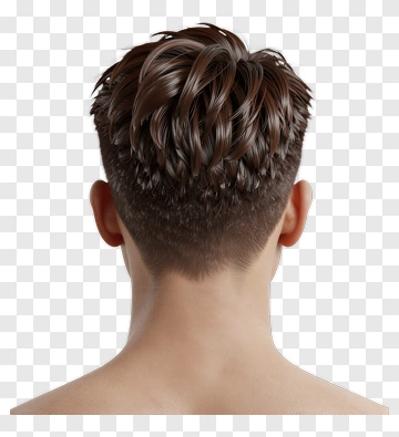 Back View Of A Man With Styled Hair PNG